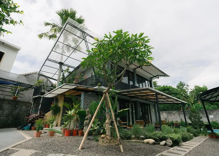 The Jungle